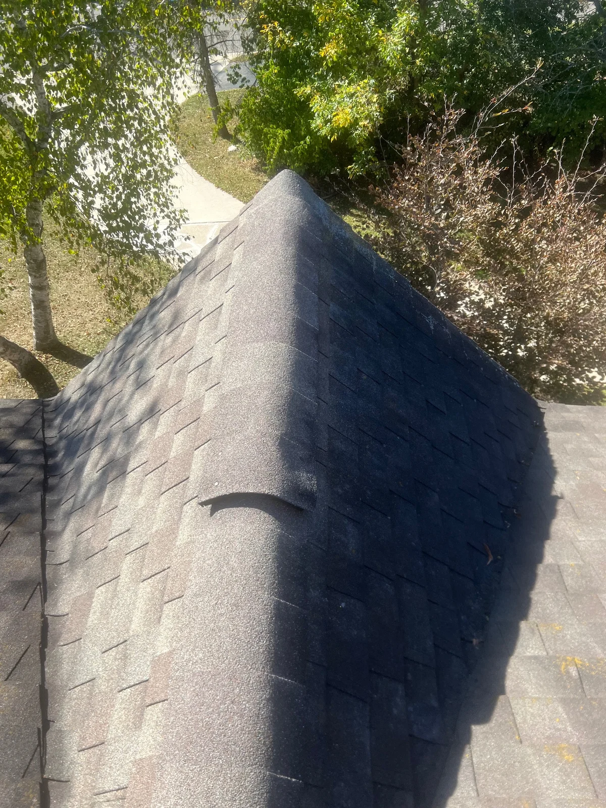 Flat roof replacement with Owens Corning shingles — roof replacement in Riverview, MI